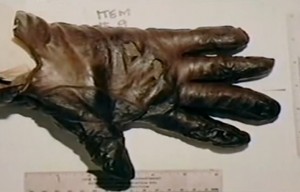 OJ Simpson - linker Handschuh